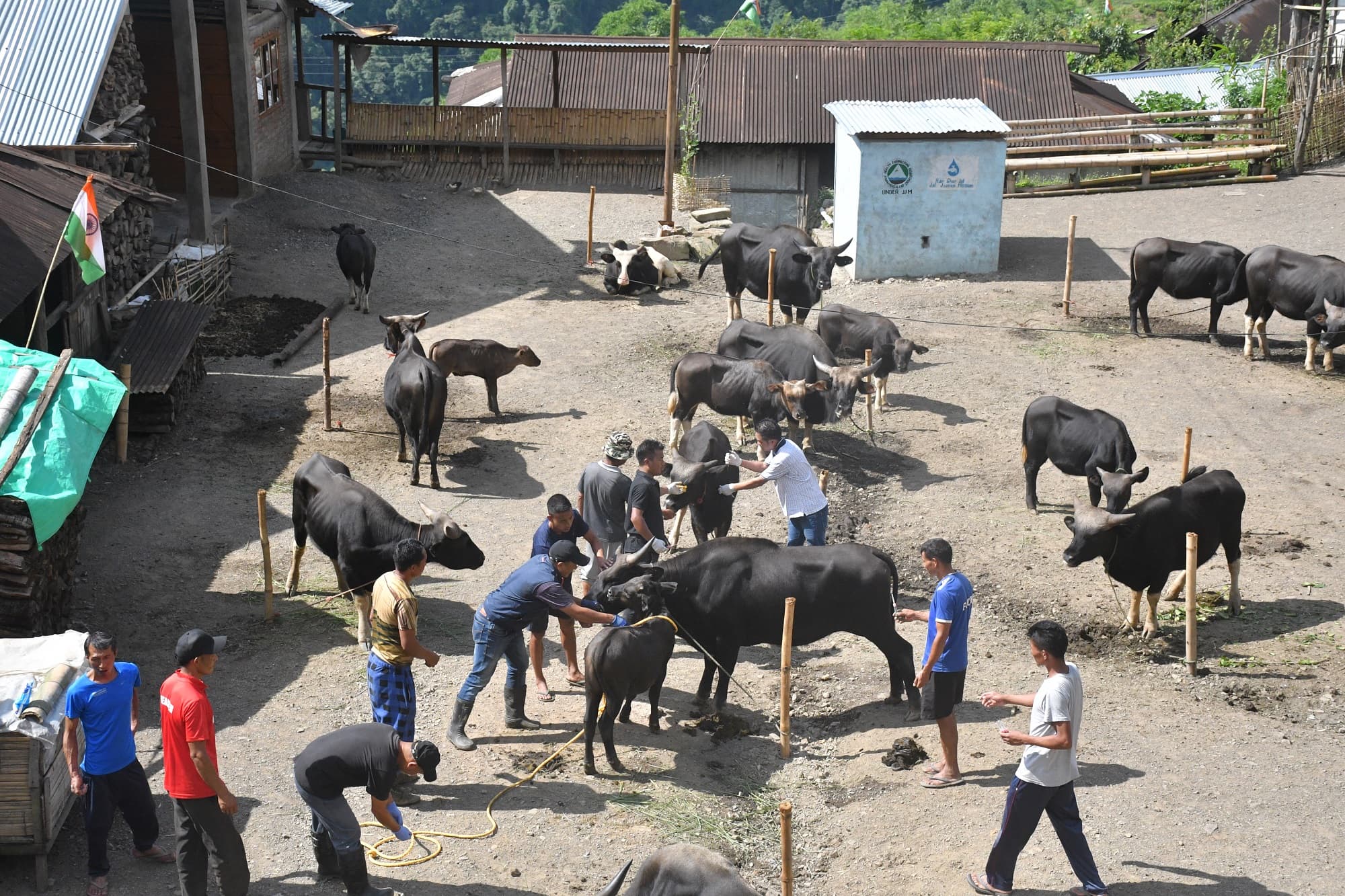 Animal health camp and TSP inputs distribution programme, Porba village,  Phek district - 17 August 2022 | ICAR-National Research Centre on Mithun