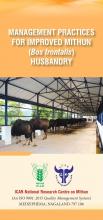 MANAGEMENT PRACTICES FOR IMPROVED MITHUN (Bos frontalis) HUSBANDRY