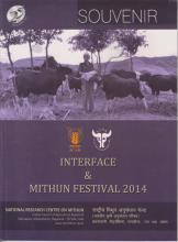 INTERFACE & MITHUN FESTIVAL 2014