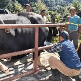 ICAR-NRC on Mithun, Nagaland conducted a Vaccination camp at Khonoma Village