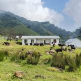 ICAR - National Research Centre on Mithun, organized a health camp at Mithun conservation unit,  Khonoma, Kohima, Nagaland.
