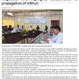 Nagaland: RAC highlights conservation & propagation of mithun